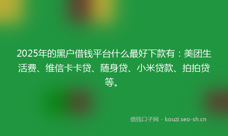 2025年的黑户借钱平台什么最好下款有:美团生活费、维信卡卡贷、随身贷、小米贷款、拍拍贷等。