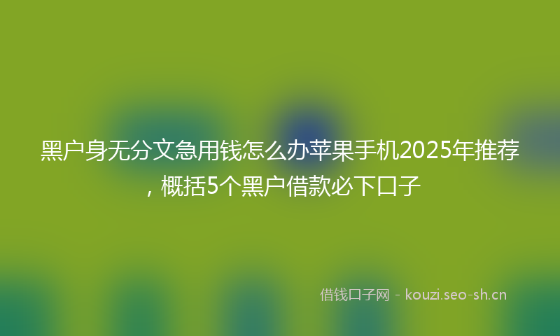 黑户身无分文急用钱怎么办苹果手机2025年推荐,概括5个黑户借款必下口子