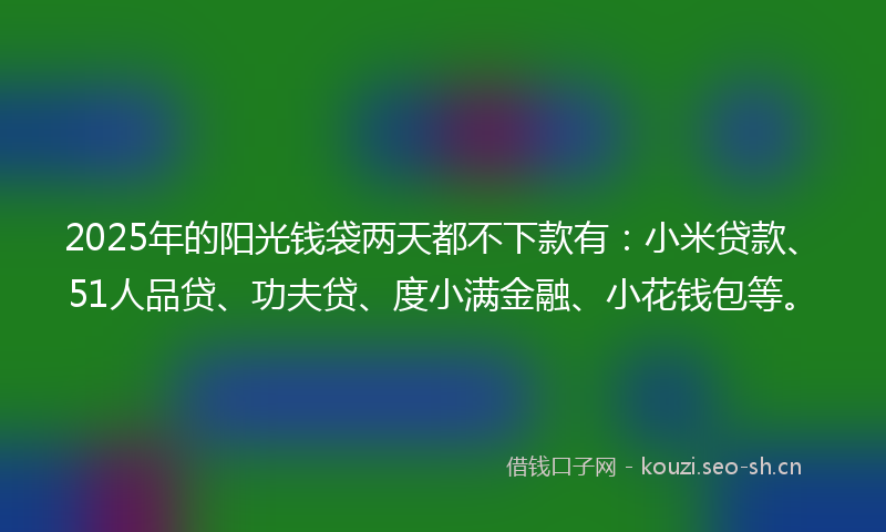 2025年的阳光钱袋两天都不下款有：小米贷款、51人品贷、功夫贷、度小满金融、小花钱包等。