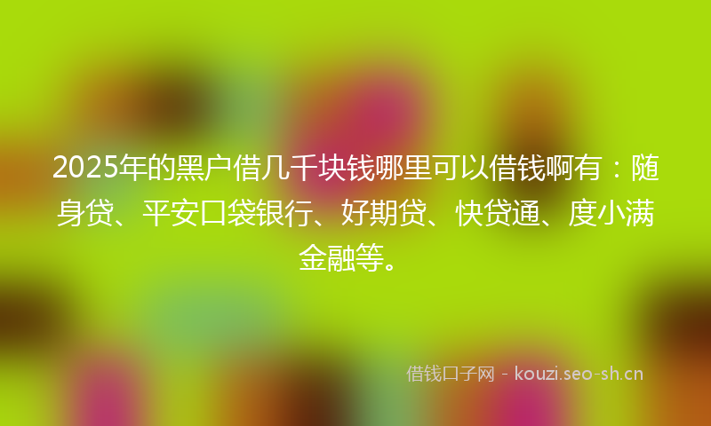 2025年的黑户借几千块钱哪里可以借钱啊有：随身贷、平安口袋银行、好期贷、快贷通、度小满金融等。