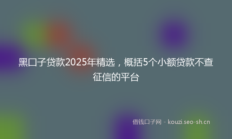 黑囗子贷款2025年精选,概括5个小额贷款不查征信的平台