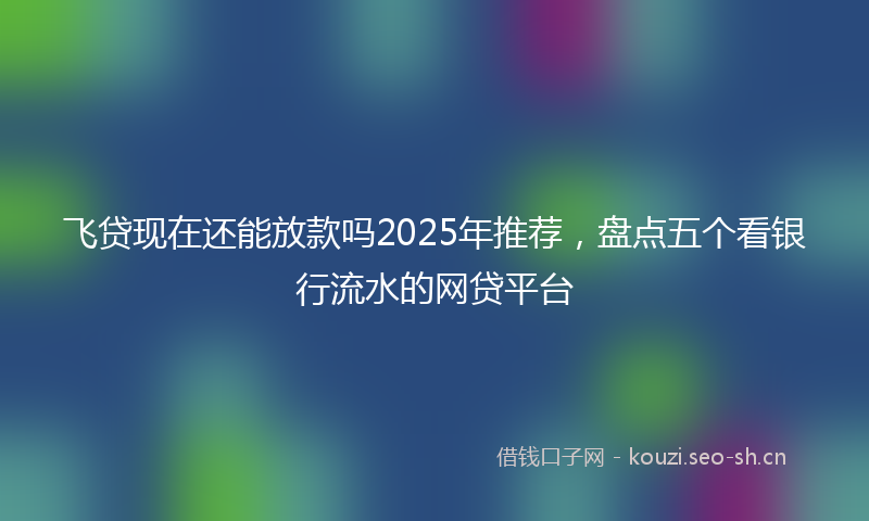 飞贷现在还能放款吗2025年推荐，盘点五个看银行流水的网贷平台