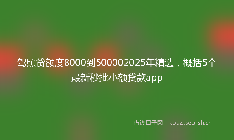 驾照贷额度8000到500002025年精选，概括5个最新秒批小额贷款app
