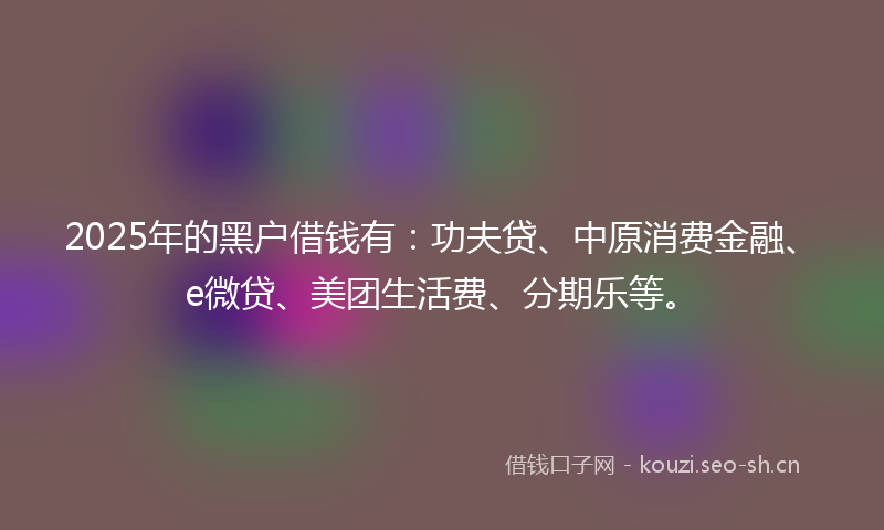 2025年的黑户借钱有：功夫贷、中原消费金融、e微贷、美团生活费、分期乐等。