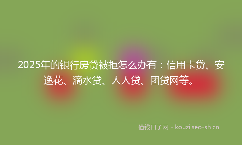 2025年的银行房贷被拒怎么办有：信用卡贷、安逸花、滴水贷、人人贷、团贷网等。