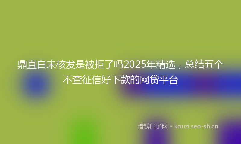 鼎直白未核发是被拒了吗2025年精选，总结五个不查征信好下款的网贷平台