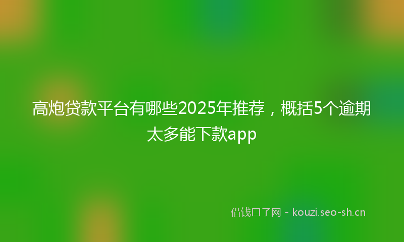 高炮贷款平台有哪些2025年推荐，概括5个逾期太多能下款app