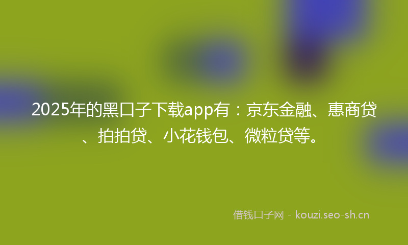 2025年的黑口子下载app有：京东金融、惠商贷、拍拍贷、小花钱包、微粒贷等。