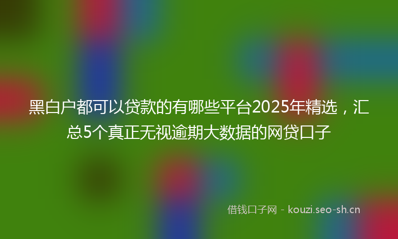 黑白户都可以贷款的有哪些平台2025年精选，汇总5个真正无视逾期大数据的网贷口子