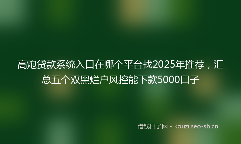 高炮贷款系统入口在哪个平台找2025年推荐，汇总五个双黑烂户风控能下款5000口子