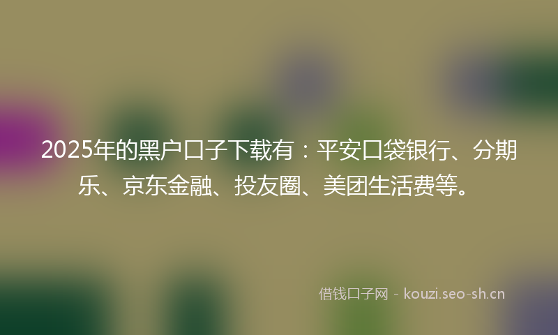 2025年的黑户口子下载有：平安口袋银行、分期乐、京东金融、投友圈、美团生活费等。