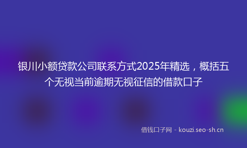 银川小额贷款公司联系方式2025年精选,概括五个无视当前逾期无视征信的借款口子