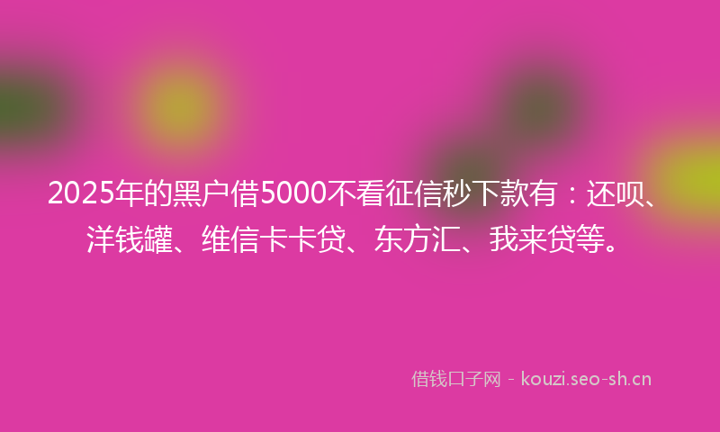 2025年的黑户借5000不看征信秒下款有：还呗、洋钱罐、维信卡卡贷、东方汇、我来贷等。