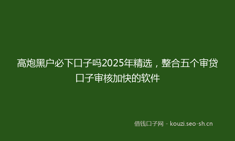 高炮黑户必下口子吗2025年精选，整合五个审贷口子审核加快的软件