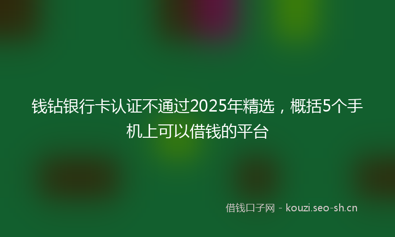 钱钻银行卡认证不通过2025年精选，概括5个手机上可以借钱的平台