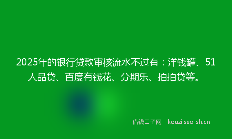 2025年的银行贷款审核流水不过有：洋钱罐、51人品贷、百度有钱花、分期乐、拍拍贷等。