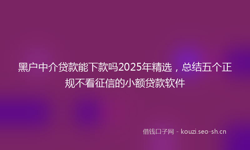 黑户中介贷款能下款吗2025年精选,总结五个正规不看征信的小额贷款软件