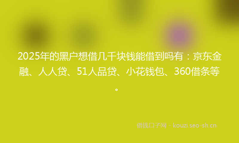 2025年的黑户想借几千块钱能借到吗有：京东金融、人人贷、51人品贷、小花钱包、360借条等。
