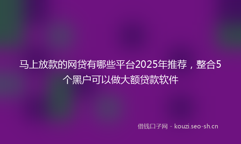 马上放款的网贷有哪些平台2025年推荐，整合5个黑户可以做大额贷款软件