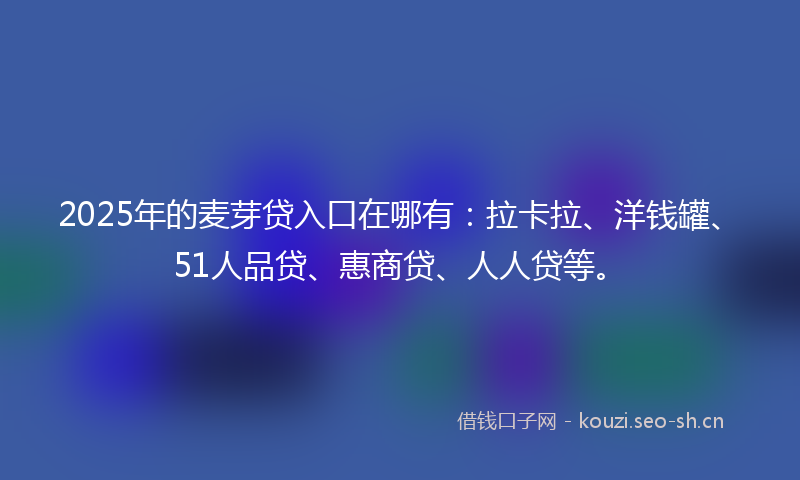 2025年的麦芽贷入口在哪有：拉卡拉、洋钱罐、51人品贷、惠商贷、人人贷等。