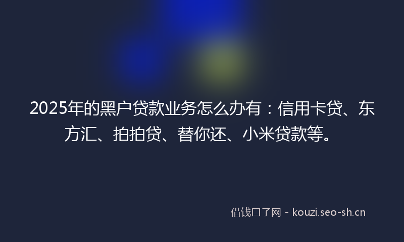 2025年的黑户贷款业务怎么办有：信用卡贷、东方汇、拍拍贷、替你还、小米贷款等。