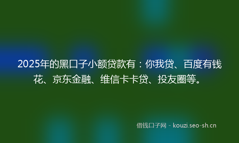 2025年的黑口子小额贷款有:你我贷、百度有钱花、京东金融、维信卡卡贷、投友圈等。