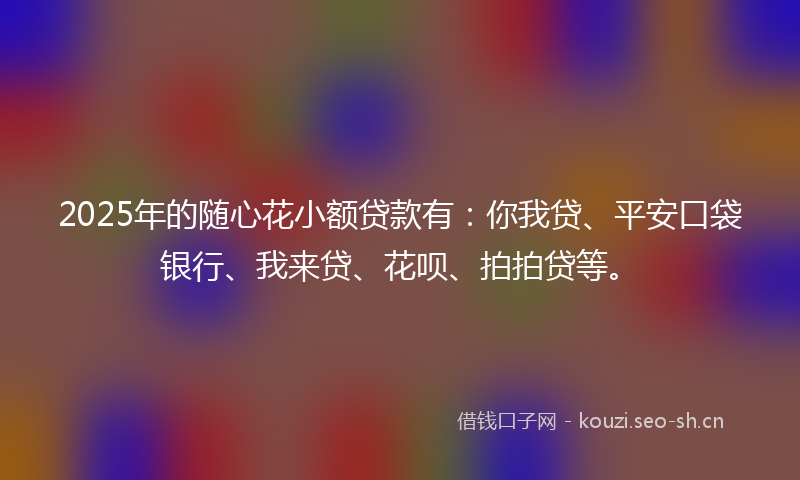 2025年的随心花小额贷款有：你我贷、平安口袋银行、我来贷、花呗、拍拍贷等。