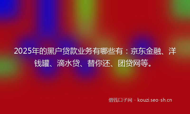 2025年的黑户贷款业务有哪些有：京东金融、洋钱罐、滴水贷、替你还、团贷网等。