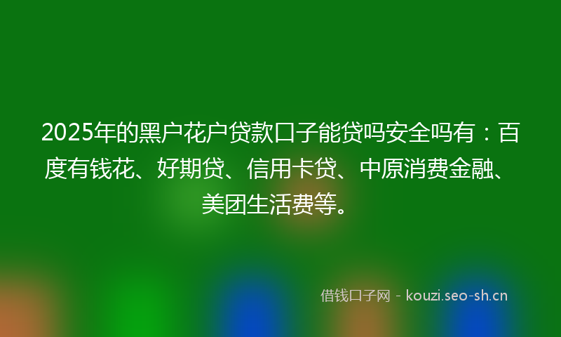 2025年的黑户花户贷款口子能贷吗安全吗有：百度有钱花、好期贷、信用卡贷、中原消费金融、美团生活费等。