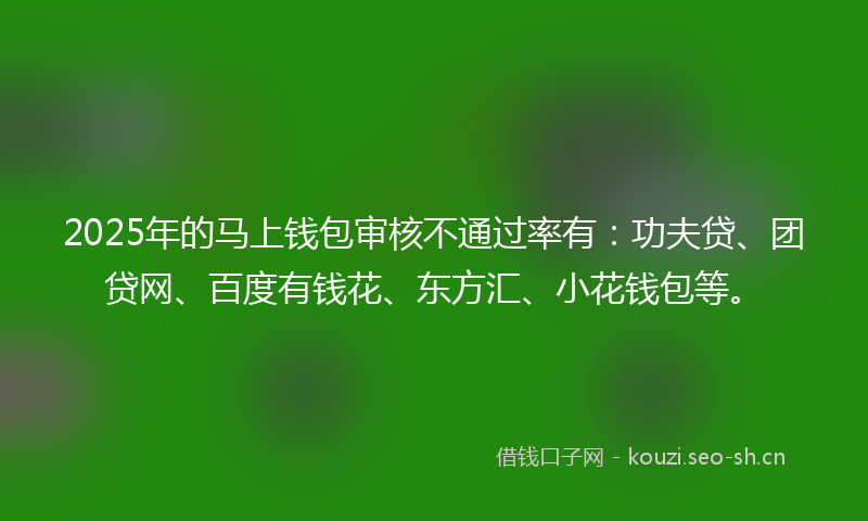 2025年的马上钱包审核不通过率有：功夫贷、团贷网、百度有钱花、东方汇、小花钱包等。