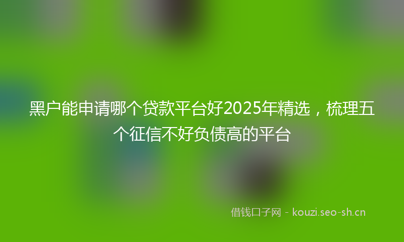 黑户能申请哪个贷款平台好2025年精选，梳理五个征信不好负债高的平台