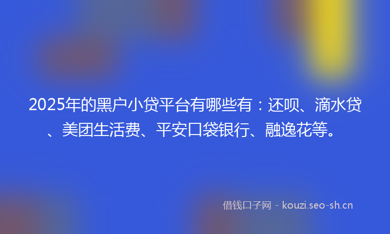 2025年的黑户小贷平台有哪些有:还呗、滴水贷、美团生活费、平安口袋银行、融逸花等。
