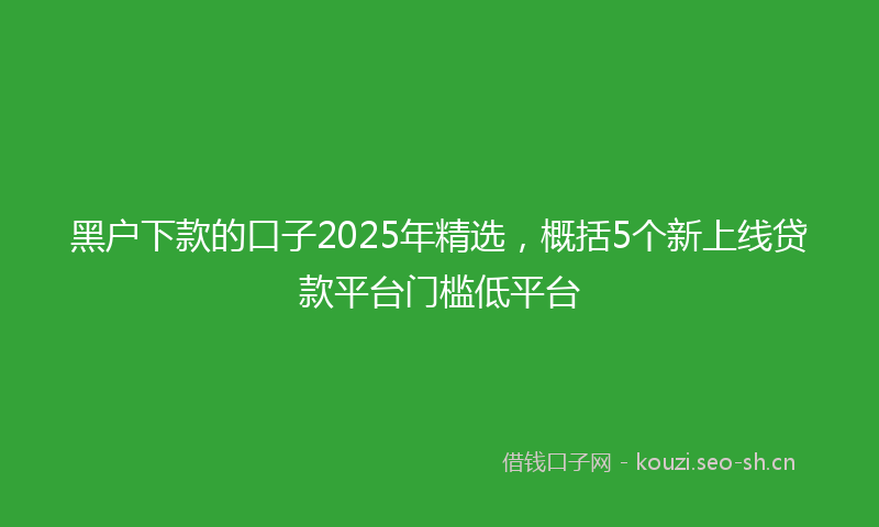 黑户下款的口子2025年精选，概括5个新上线贷款平台门槛低平台