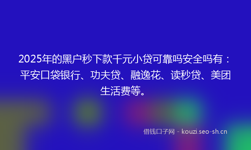 2025年的黑户秒下款千元小贷可靠吗安全吗有：平安口袋银行、功夫贷、融逸花、读秒贷、美团生活费等。