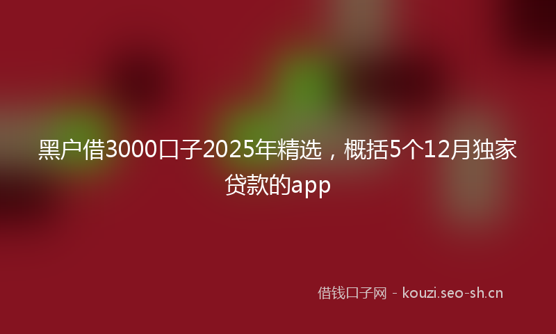 黑户借3000口子2025年精选，概括5个12月独家贷款的app
