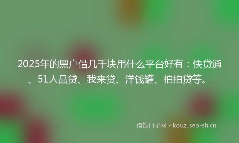 2025年的黑户借几千块用什么平台好有：快贷通、51人品贷、我来贷、洋钱罐、拍拍贷等。