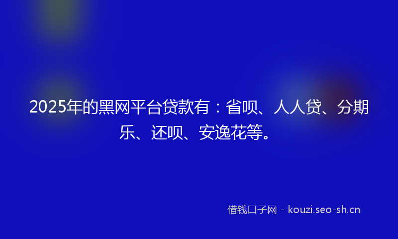 2025年的黑网平台贷款有：省呗、人人贷、分期乐、还呗、安逸花等。