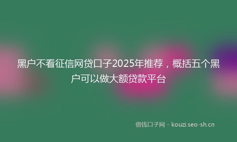 黑户不看征信网贷口子2025年推荐，概括五个黑户可以做大额贷款平台