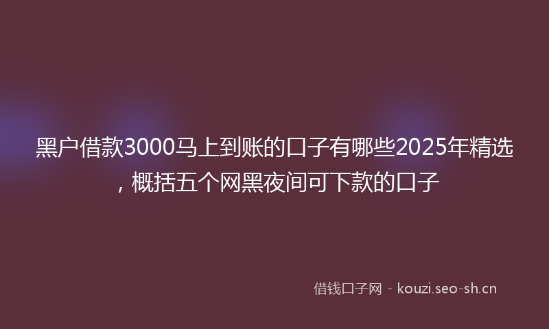 黑户借款3000马上到账的口子有哪些2025年精选，概括五个网黑夜间可下款的口子
