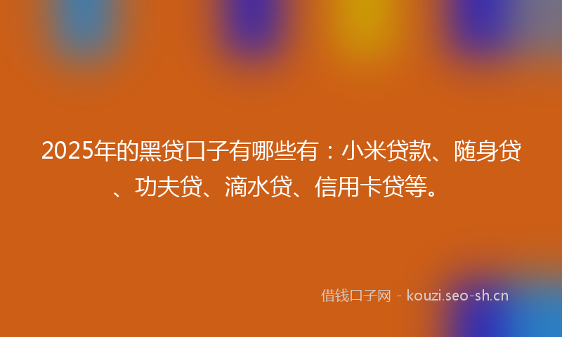 2025年的黑贷口子有哪些有：小米贷款、随身贷、功夫贷、滴水贷、信用卡贷等。