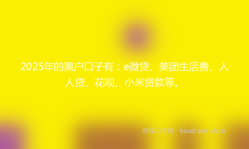 2025年的黑户口子有:e微贷、美团生活费、人人贷、花呗、小米贷款等。