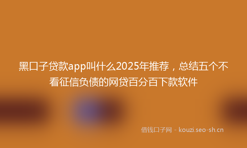 黑口子贷款app叫什么2025年推荐，总结五个不看征信负债的网贷百分百下款软件