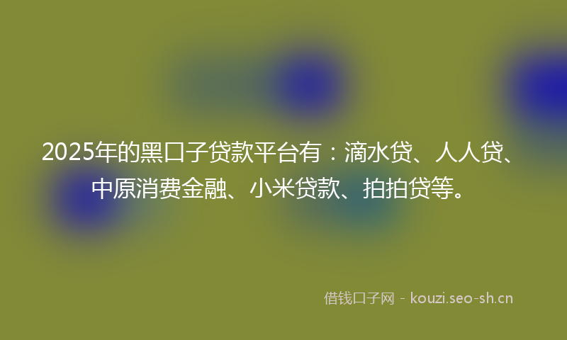 2025年的黑口子贷款平台有：滴水贷、人人贷、中原消费金融、小米贷款、拍拍贷等。