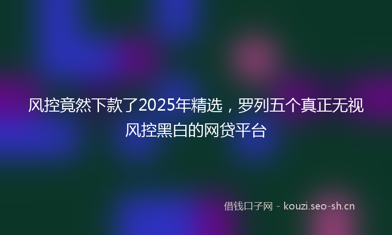 风控竟然下款了2025年精选，罗列五个真正无视风控黑白的网贷平台
