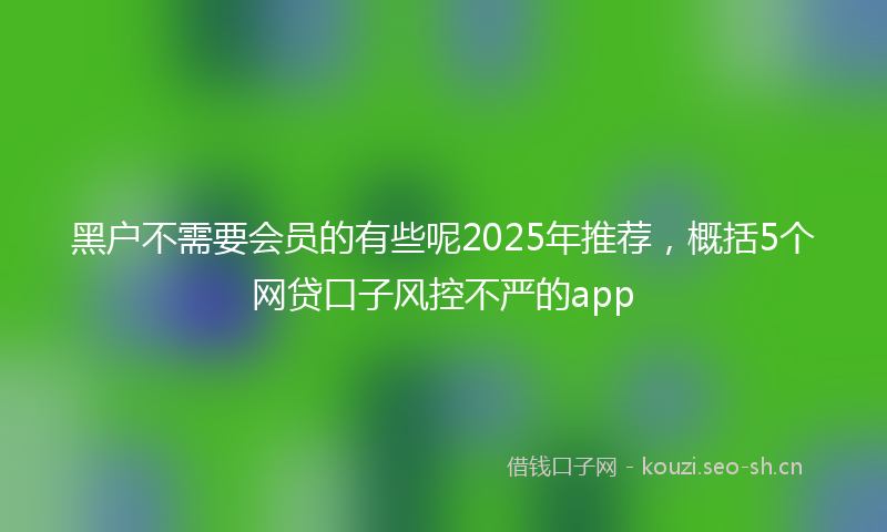 黑户不需要会员的有些呢2025年推荐，概括5个网贷口子风控不严的app