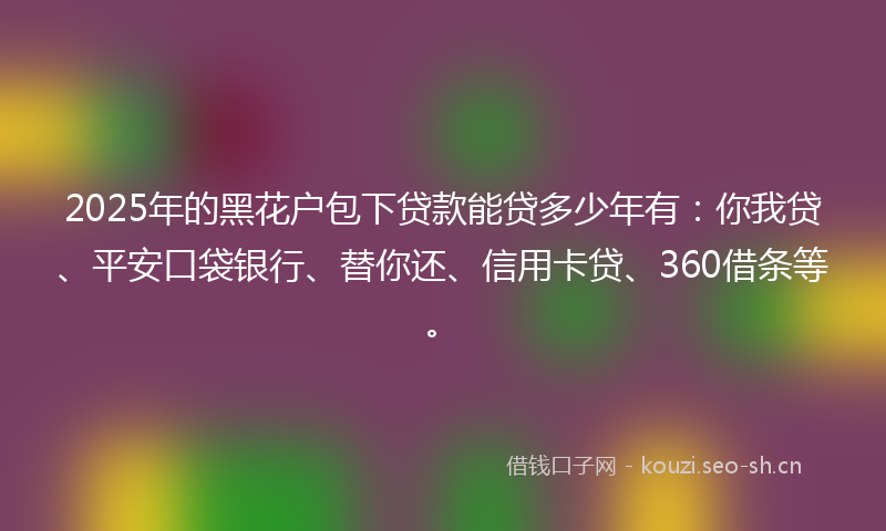 2025年的黑花户包下贷款能贷多少年有：你我贷、平安口袋银行、替你还、信用卡贷、360借条等。