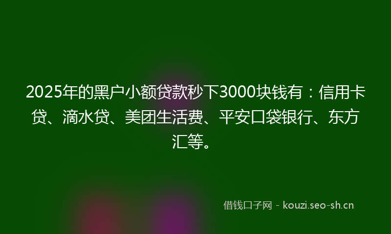 2025年的黑户小额贷款秒下3000块钱有：信用卡贷、滴水贷、美团生活费、平安口袋银行、东方汇等。