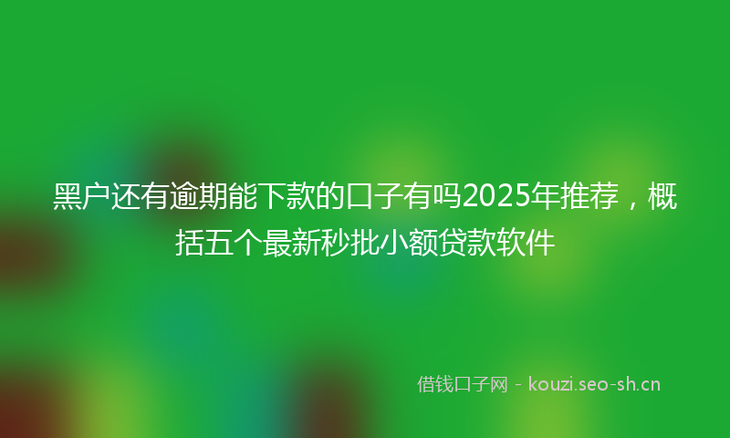 黑户还有逾期能下款的口子有吗2025年推荐，概括五个最新秒批小额贷款软件