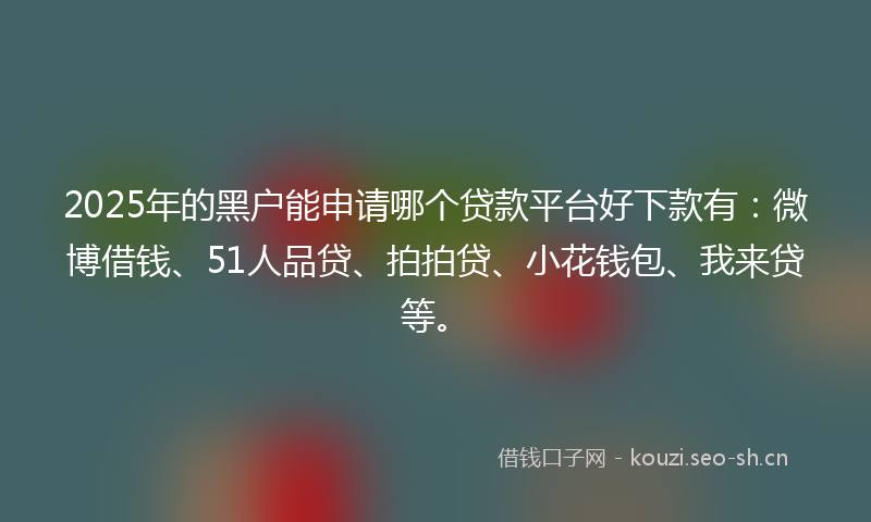 2025年的黑户能申请哪个贷款平台好下款有：微博借钱、51人品贷、拍拍贷、小花钱包、我来贷等。