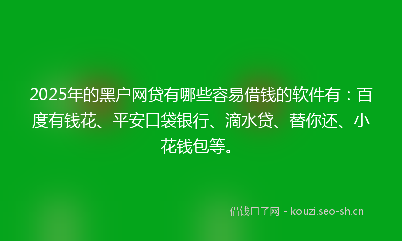 2025年的黑户网贷有哪些容易借钱的软件有：百度有钱花、平安口袋银行、滴水贷、替你还、小花钱包等。